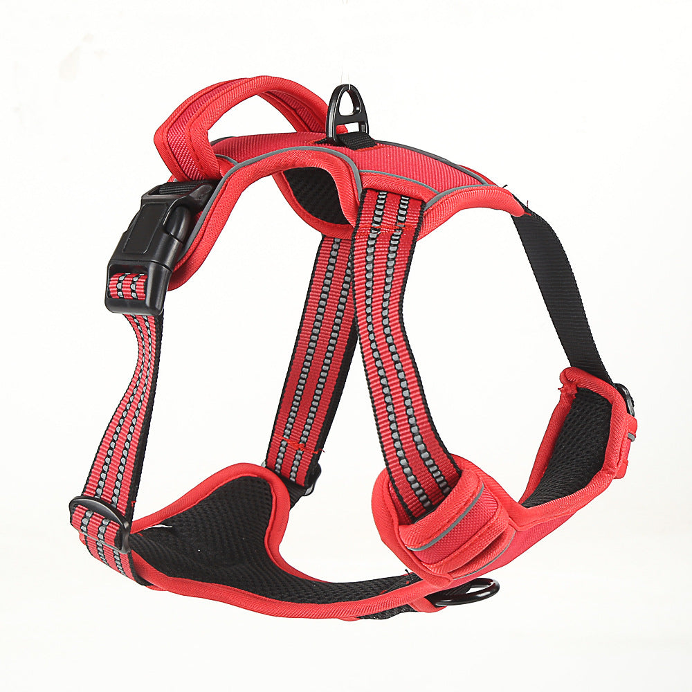 Collars, Leashes & Harnesses